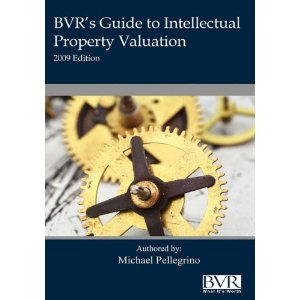 BVR's Guide to Intellectual Property Valuation